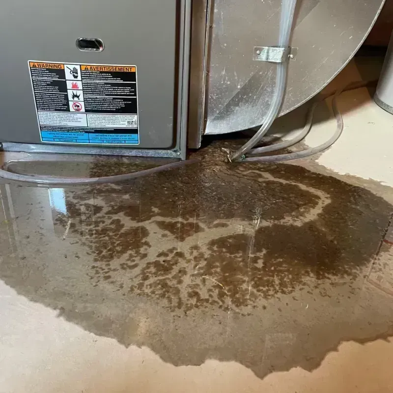 Appliance Leak Cleanup in Milford, NJ